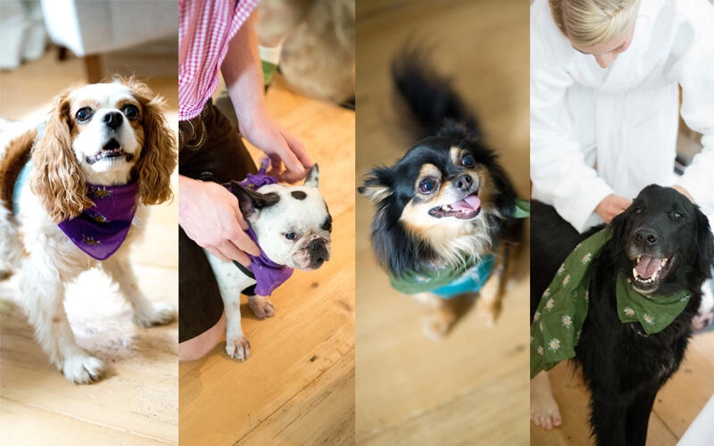 Hochzeit-Brautstyling-Aying5