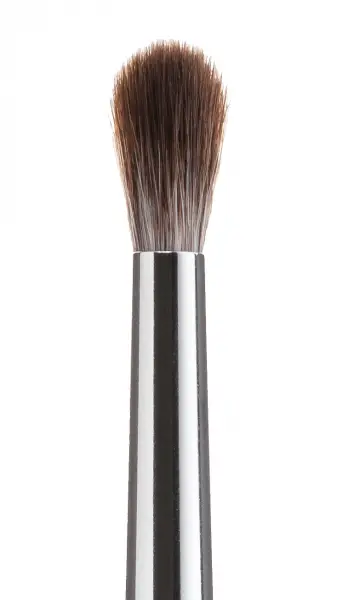 Blender Pinsel 